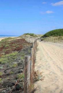 Le Wharf - Seignosse - 4