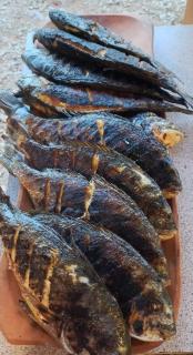 Butoiașele Montesanto - Explora y Alegrate - 7