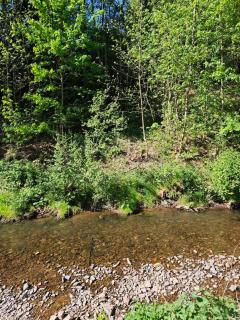 Wohlfühloase Hellenthal für 6 Personen mit Terrasse, Garten und direkt am Fluss - Hellenthal - 7