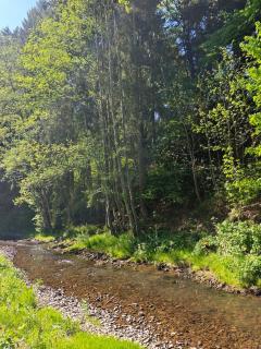 Wohlfühloase Hellenthal für 6 Personen mit Terrasse, Garten und direkt am Fluss - Hellenthal - 6