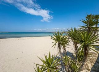 Casa Callisto ,ac ,pet Friendly - Porto Cesareo - 9