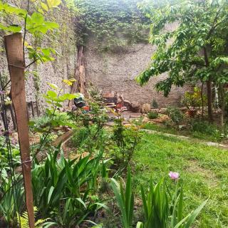 Номер у моря, бассейн, сад, мангал - 2