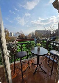Cosy Sea View Apartment with Balcony near to Nizami Street - Bakoe - 1