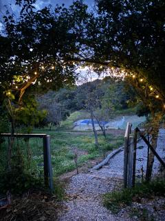 El Tilo - Constantina - 9