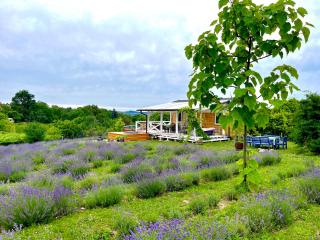 Lavender Eco lodge át lake Balaton - Kisapáti - 6