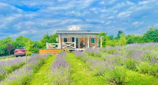 Lavender Eco lodge át lake Balaton - Kisapáti - 2