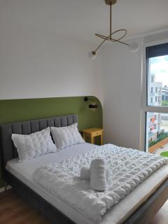 Sika Nobless Apartment-NEW ON BOOKING - Arad - 5