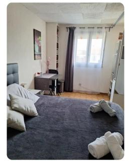 Chambres au 1er étage d'une villa - Ponteilla - 9