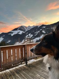 Wolke 26 - Das Gipfelchalet - Winkl - 9