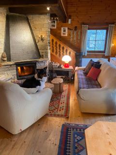 Wolke 26 - Das Gipfelchalet - Winkl - 4