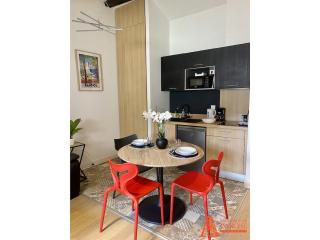 Appartement avec Terrasse privée sur les toits de Toulouse - Toulouse - 9