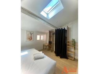 Appartement avec Terrasse privée sur les toits de Toulouse - Toulouse - 4