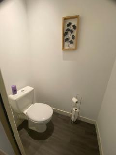 Appartement avec Terrasse privée sur les toits de Toulouse - Toulouse - 3