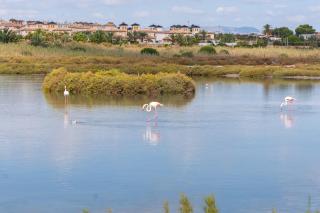 Menabrea Holiday House near the beach and airport - Santa Pola - 1