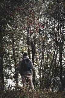 Rajbari Farms - Darjeeling - 9