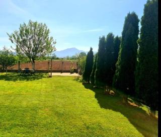 Vila MELI - Ivišovo Greblje - 9