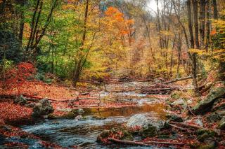 The Blessing Cabin by Avada Properties - Sevierville - 3
