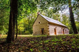 Maison du Garde Forestier au cœur des Châteaux de la Loire - Cour-Cheverny - 9