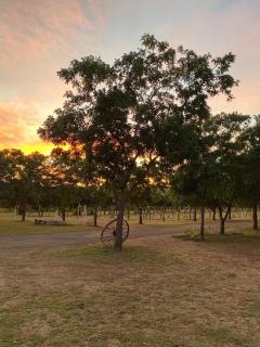 Pitahaya Retreat - Cozy Glamping Escape - Cabo Rojo - 3