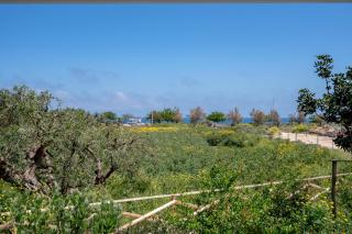 FronteMare Apartment - 5 MinWalk from the beach & Terrace - Monopoli - 3
