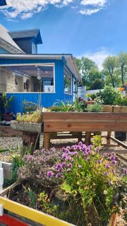 la petite maison en bois bleue - Quiberville - 6