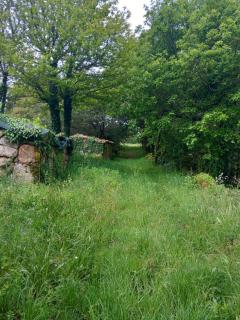 A casa da Cernada - 8