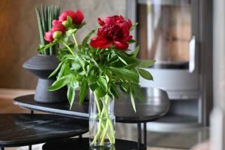 Traumhaus mit Fördeblick - FÖRDE-ANKER - 6