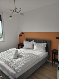 Sika Platinum Premium Apartment- private parking - Arad - 5