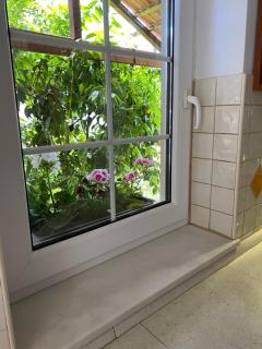 Private pool 2 rooms - Biograd na Moru - 1