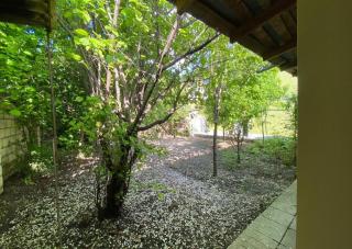 Harmony of Nature - 6