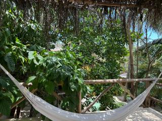 Quinta Salamandra - Playa del Carmen - 1