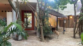 Quinta Salamandra - 1