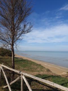 Appartamenti Deluxe fronte mare - Foce Varano - 0