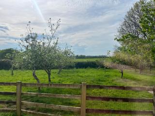 War Horse Valley Orchard View - 8