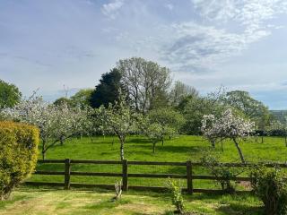 War Horse Valley Orchard View - 2