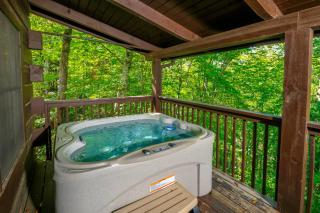 Smoky Mountain Jewel Unit 2 by Avada Properties - 8