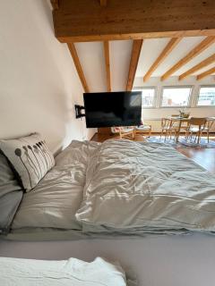 Cozy loft with a view, central, close to tradefair - 8