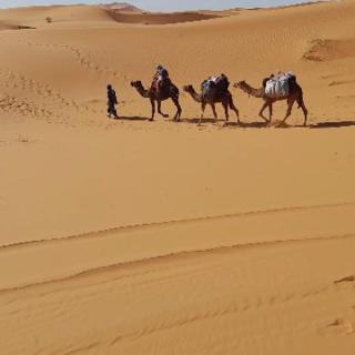 sophinia luxury camp - Merzouga - 5
