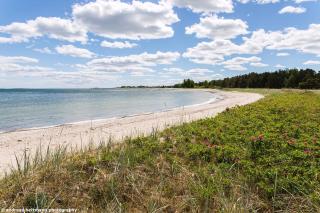 Ferienhaus Auf Gotland 700 Meter Zum Meer - Ljugarn - 8