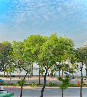 Totto Homestay - Hanoi - 3