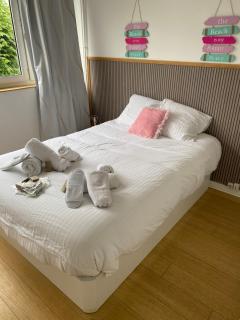 Magnifique appartement - Tourcoing - 4