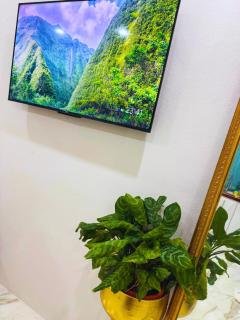 Blue Pearl Studio Garden View - Castries - 7