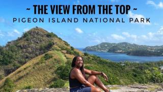 Blue Pearl Studio Garden View - Castries - 6
