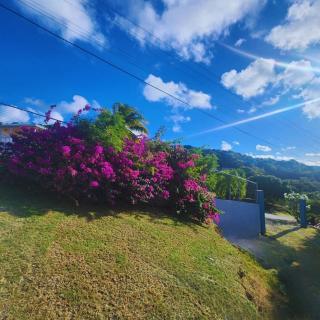 Blue Pearl Studio Garden View - Castries - 2