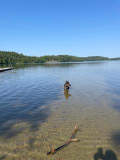 Klämmingsbergsbadets - STUGA GÖSEN - 1