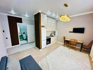 комфортные апартаменты рядом с кардиохирургии рдц ана мен бала - Astana - 9