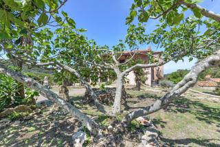 Agriturismo Amandolo - Cavo - 4