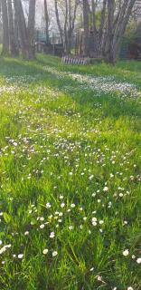 Casa vacanza Cascina Ronco- Natura e Relax vicino lago di Como - 6