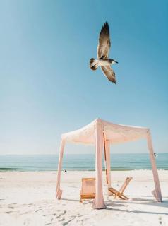 Sol Shine Gulf-View Retreat Steps from the Sand - 5