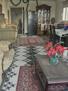 Excellent Studio One Bed Room Overlooking the Nile - Il Cairo - 2